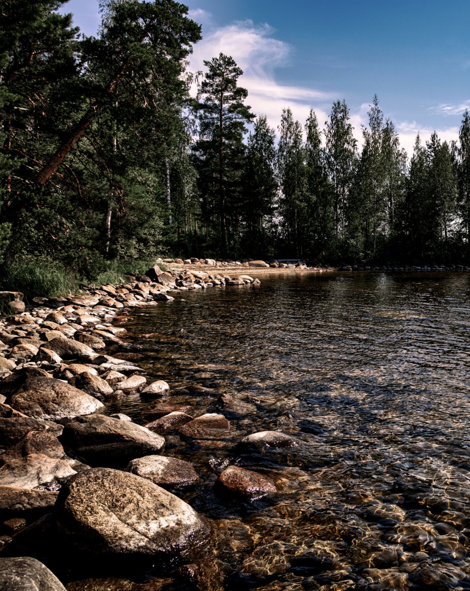 Shore with trees and small stones